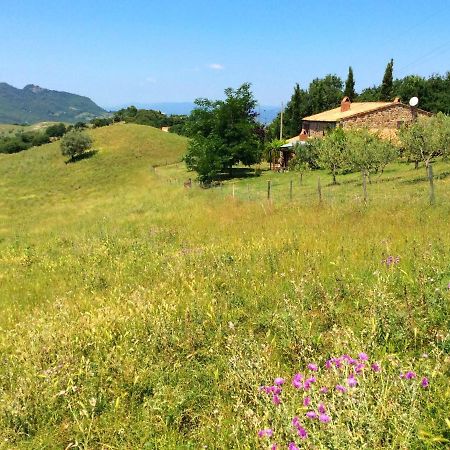 Charming Farmhouse On Protected Area In Pomarance, Tuscany 빌라 외부 사진