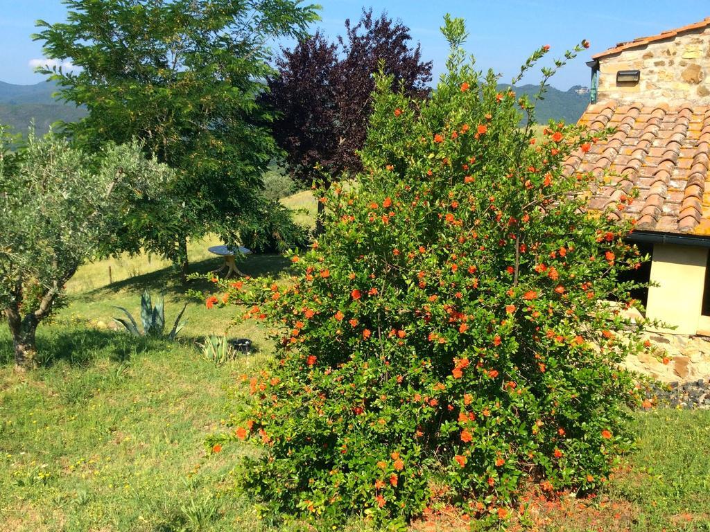 Charming Farmhouse On Protected Area In Pomarance, Tuscany 빌라 외부 사진