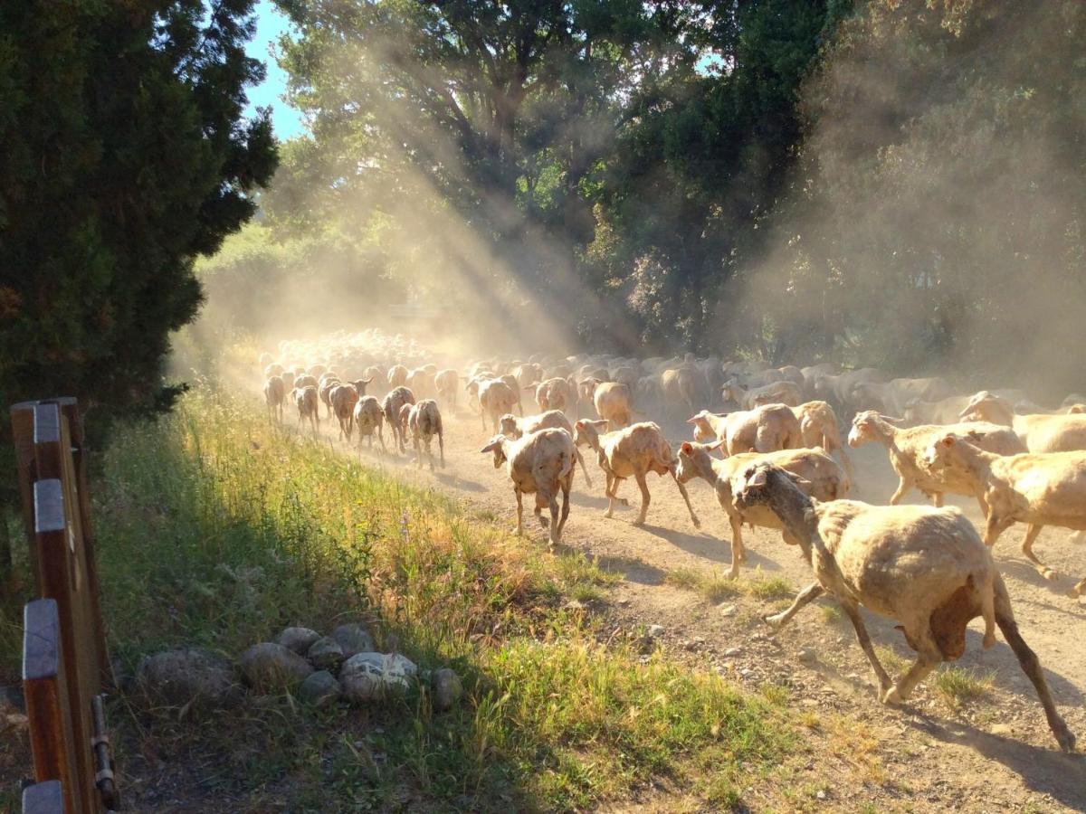 Charming Farmhouse On Protected Area In Pomarance, Tuscany 빌라 외부 사진